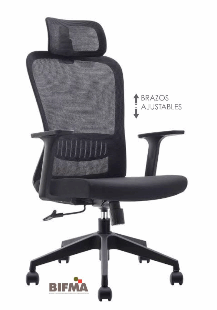 SIllón Ejecutivo Mod Cozz